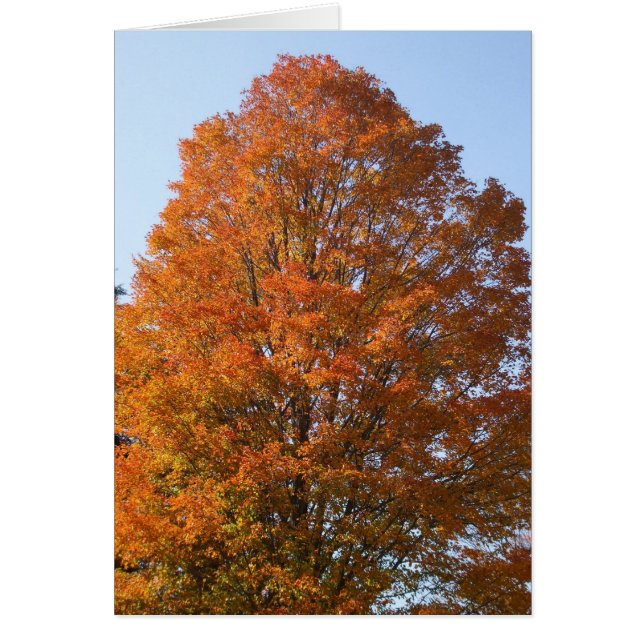 Autumn Tree-Blank Card (Frente)