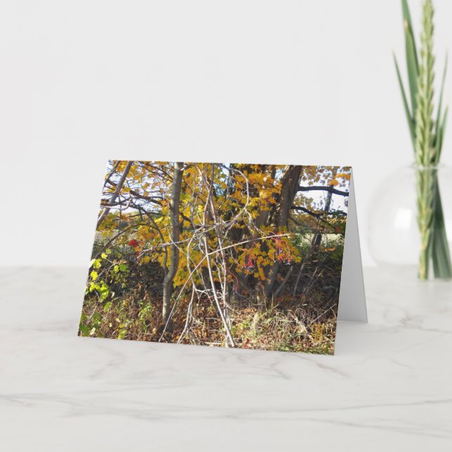 Autumn Vine Tangle & Berries Tarjeta "Ahh" (Anverso)