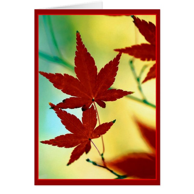 AUTUMN WISHES (Frente)