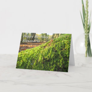 Autums Moss in Sunshine - Tarjeta de cumpleaños Pe