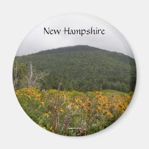 Autunm en imán del refrigerador de New Hampshire