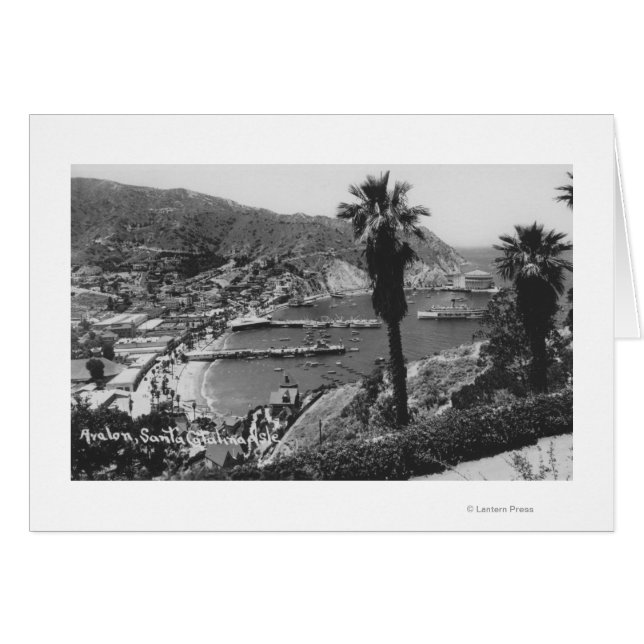 Avalon, CA Isla Santa Catalina Vista del puerto (Anverso (Horizontal))
