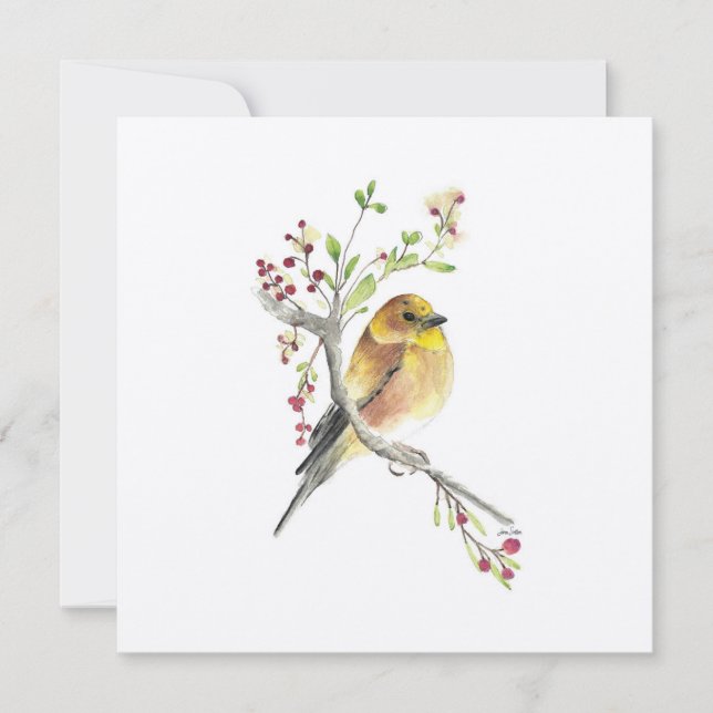 Ave acuática Goldfinch (Anverso)