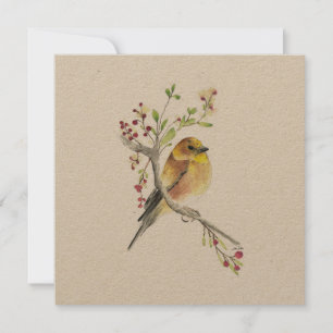 Ave acuática Goldfinch
