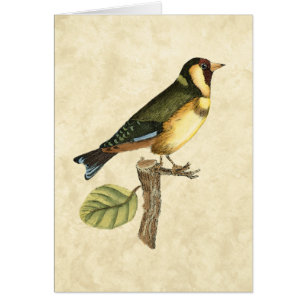 Ave amarillo y verde encaramado en una pequeña ram