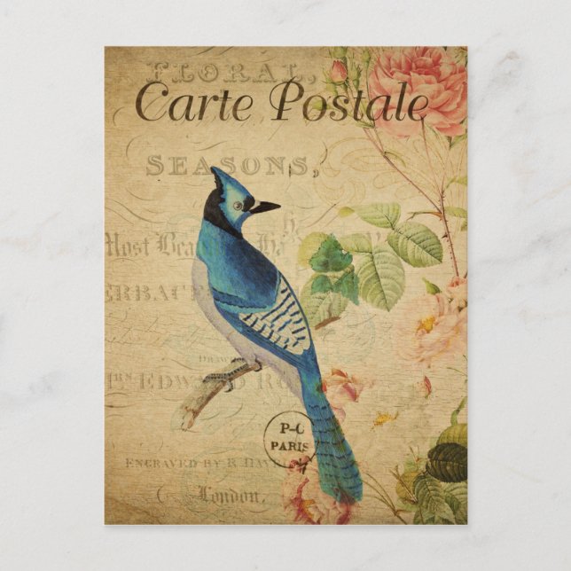 Ave azul estilo vintage Cartua francesa postal (Anverso)