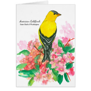 Ave blanco del estado estadounidense Goldfinch Was