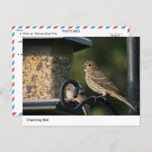 Ave con encanto en la tarjeta postal del alimentad