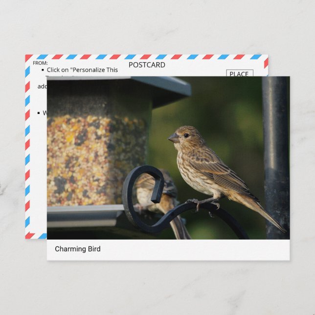 Ave con encanto en la tarjeta postal del alimentad (Anverso / Reverso)