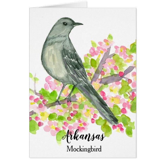 Ave de Arkansas Mockingbird Blank (Frente)