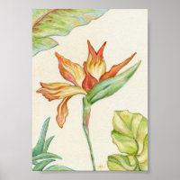 Ave de arte paraíso Imprimir 5x7