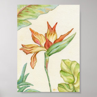 Ave de arte paraíso Imprimir 5x7