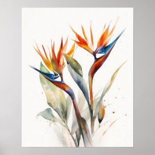 Ave De Flores De Paraíso Poster De Impresión De Ar