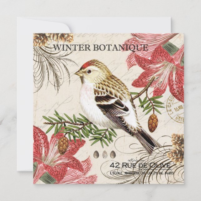 ave de invierno francesa vintage moderna (Anverso)