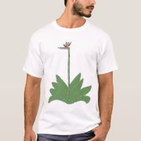 Ave De La Camiseta Paraíso De La Planta Y Flor Per