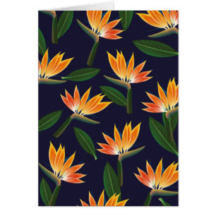 Ave de la flor del paraíso