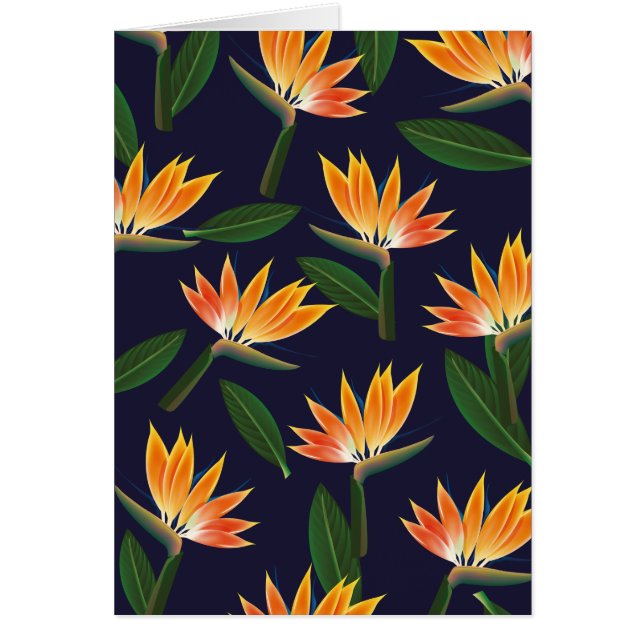 Ave de la flor del paraíso (Frente)