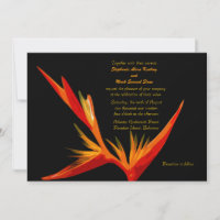 Ave de la invitación al paraíso