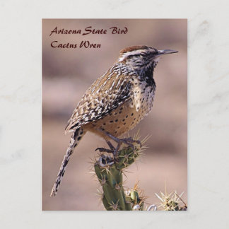Ave del Estado de Arizona - Postal Cactus Wren