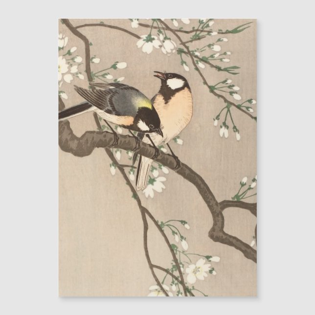Ave del pájaro Koson de Asia (Anverso)