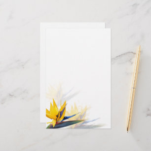 Ave del papel de escritura en blanco del paraíso