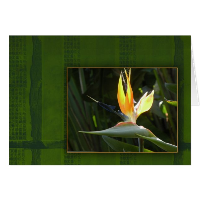 Ave del paraíso (Anverso (Horizontal))