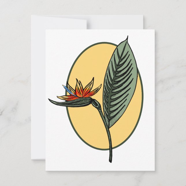 Ave del paraíso (Anverso)