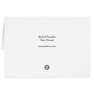 Ave del paraíso - Maui Hawaii