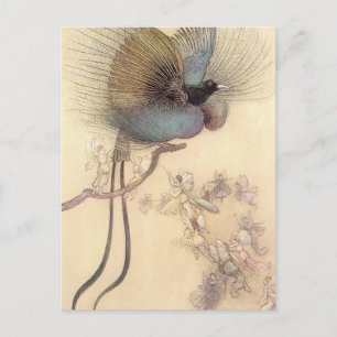 Ave del paraíso por la postal Warwick Goble