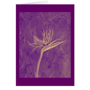 Ave del paraíso púrpura