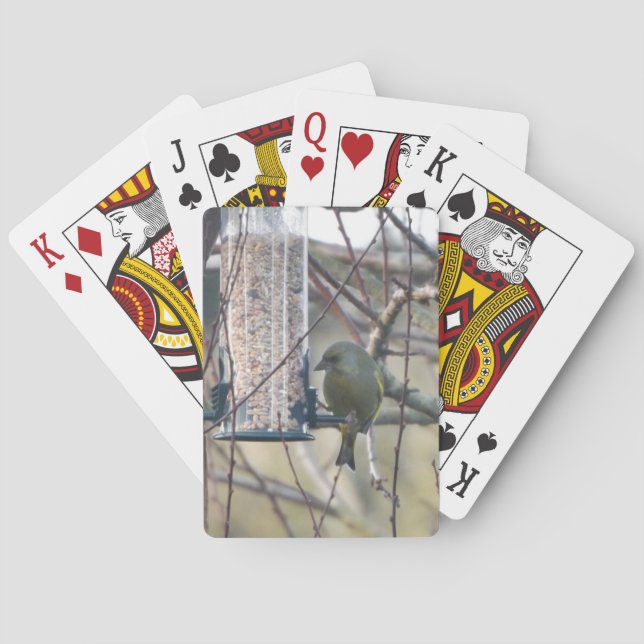 Ave en cartas de juego de alimentación en árboles (Reverso)