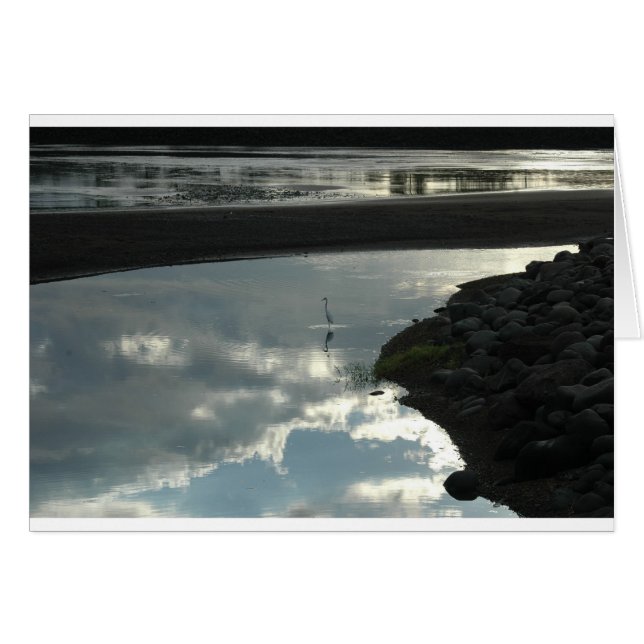 Ave en el agua (Anverso (Horizontal))