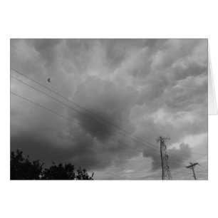 Ave en el paisaje nublado / Noir