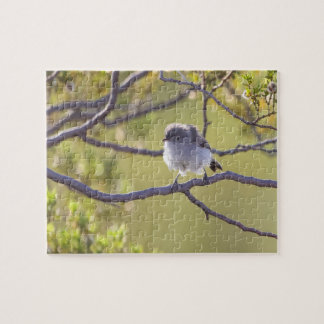 Ave en el rompecabezas de Twig (Bushtit)