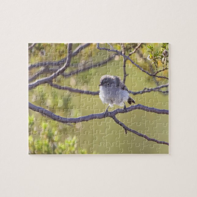 Ave en el rompecabezas de Twig (Bushtit) (Horizontal)
