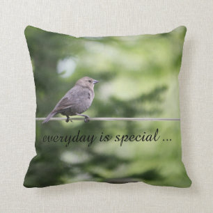Ave en la almohada de alambre - todos los días es 