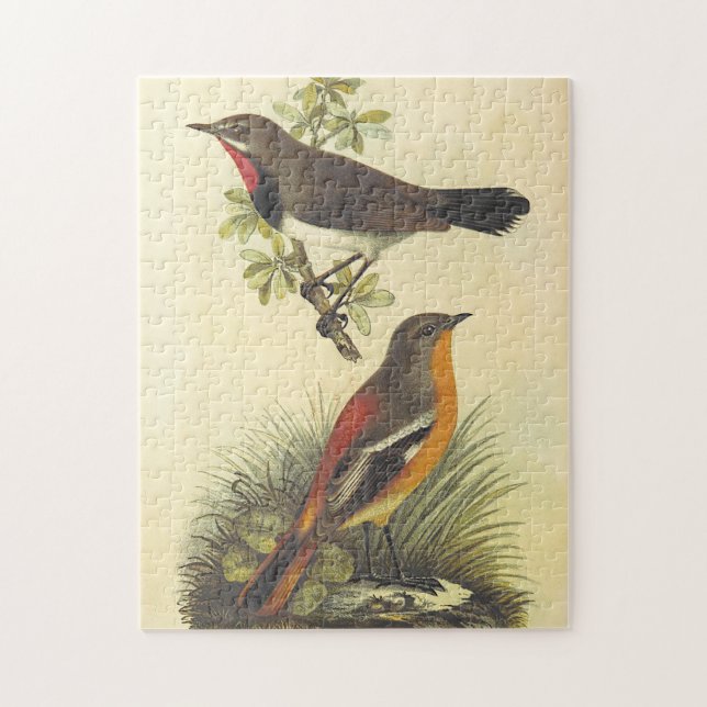 Ave en la rama, pájaro en el rompecabezas del suel (Vertical)