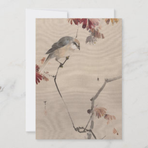 Ave en la rama viendo la araña   Watanabe Seitei