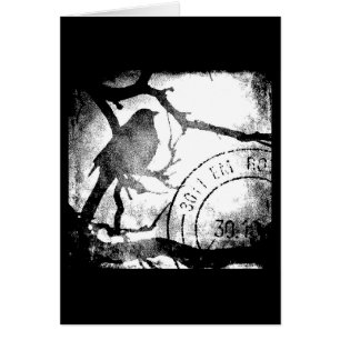 Ave en una rama monocroma