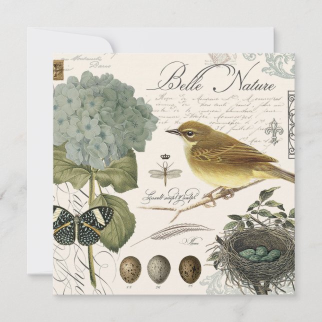 ave francesa vintage moderna y nido (Anverso)