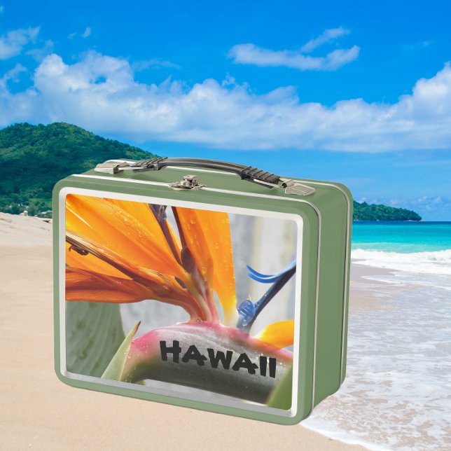 Ave Hawai de la flor de la planta paraíso (In Situ Beach)