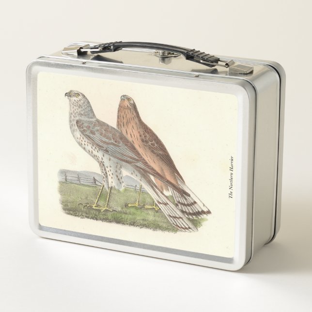 Ave NY Harrier (Halcón de cola anillada) (Reverso)