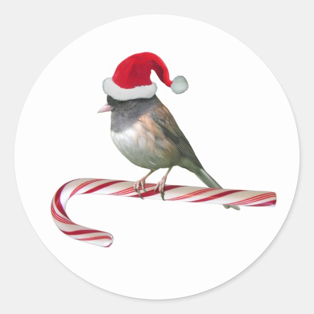 Ave Santa en Pegatinas de Candy Cane (Anverso)