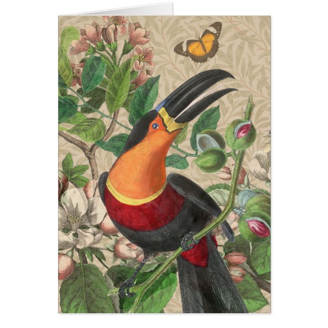 Ave Tropical De La Selva Turca Hermosa Antigüedad (Frente)