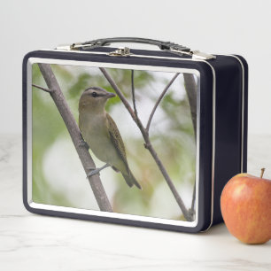 Ave verde, Vireo teñido de rojo, fotografía canadi