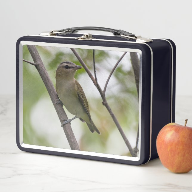 Ave verde, Vireo teñido de rojo, fotografía canadi (In situ)