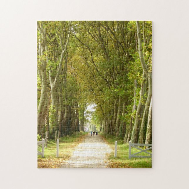 Avenida de los Árboles Foto rompecabezas con caja  (Vertical)