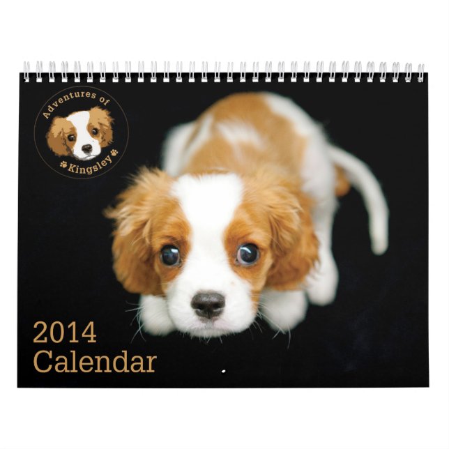 Aventuras del calendario de Kingsley 2014 (Tapa)