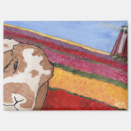 Aventuras del coco: mayo imán 3.5"x2.5"