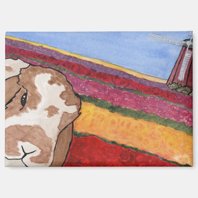 Aventuras del coco: mayo imán 3.5"x2.5" (Anverso)